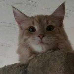 Meet your Posher, Janet